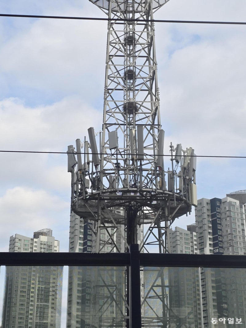 [고양이 눈]철탑 위의 보금자리