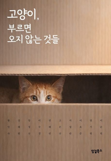 ‘붙잡을수록 멀어져’… 고양이 테마 소설 10편 묶어