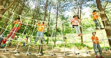 [양천구]신정-용왕산 등 유아숲체험원 6곳 운영