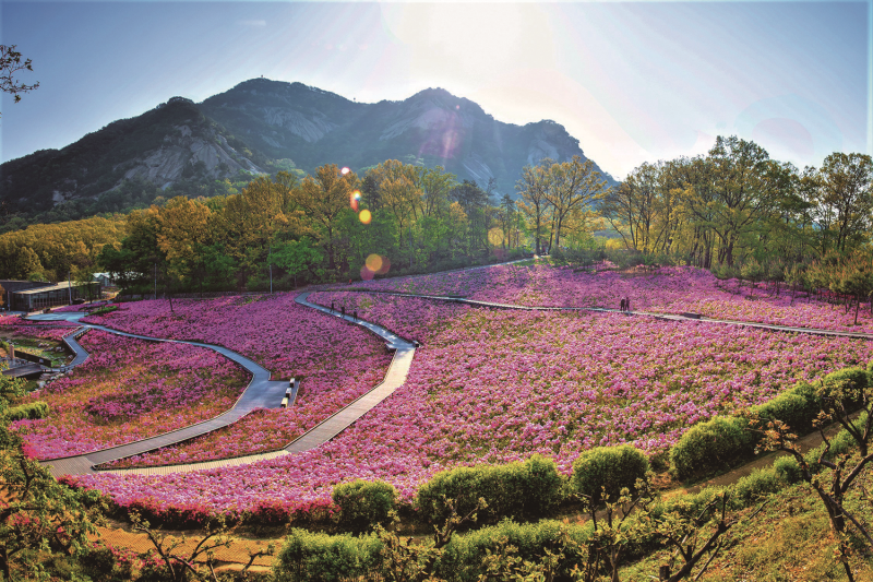 [노원구]노원 어디까지 가봤니? 수락 휴-불암산 등 관광 지도 나왔다