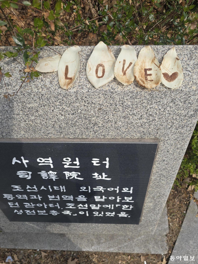 [고양이 눈]사랑도 통역이 되나요?
