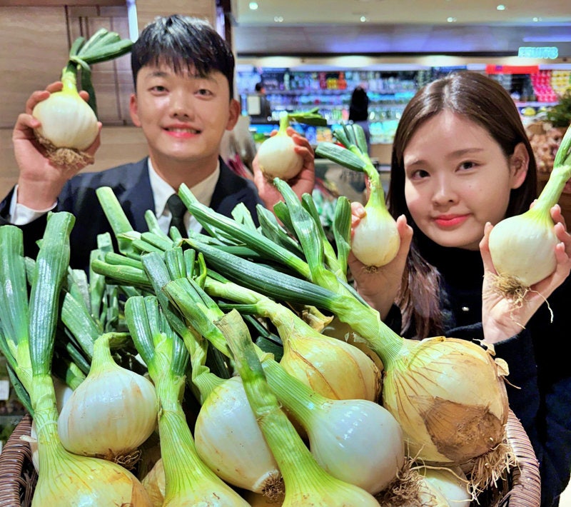 “해풍 맞고 자란 고흥 햇양파 맛보세요”