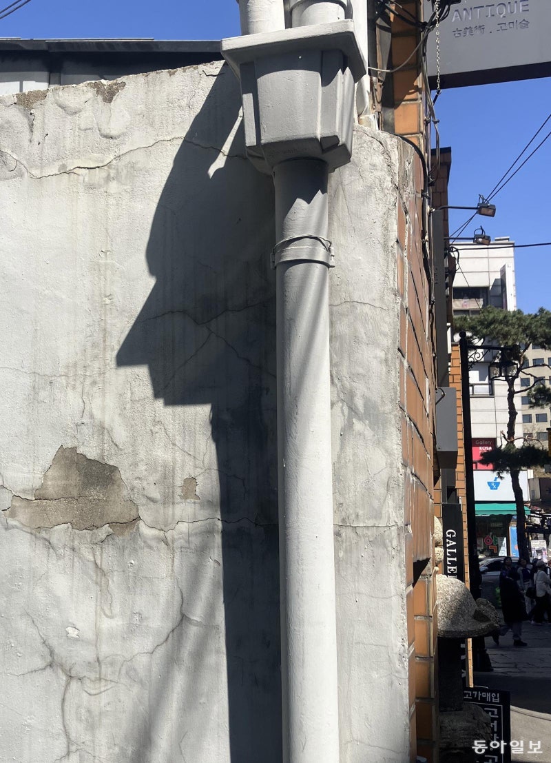 [고양이 눈]골목의 수호신