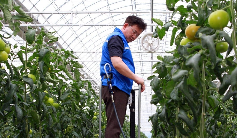 ‘에어 냉각조끼’, 제주 레드향 농가에 보급