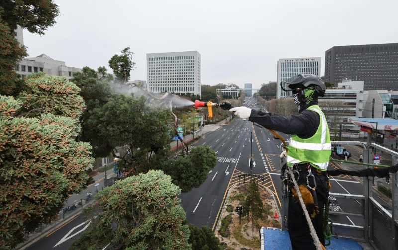서초역사거리 ‘천년향’ 봄맞이 목욕