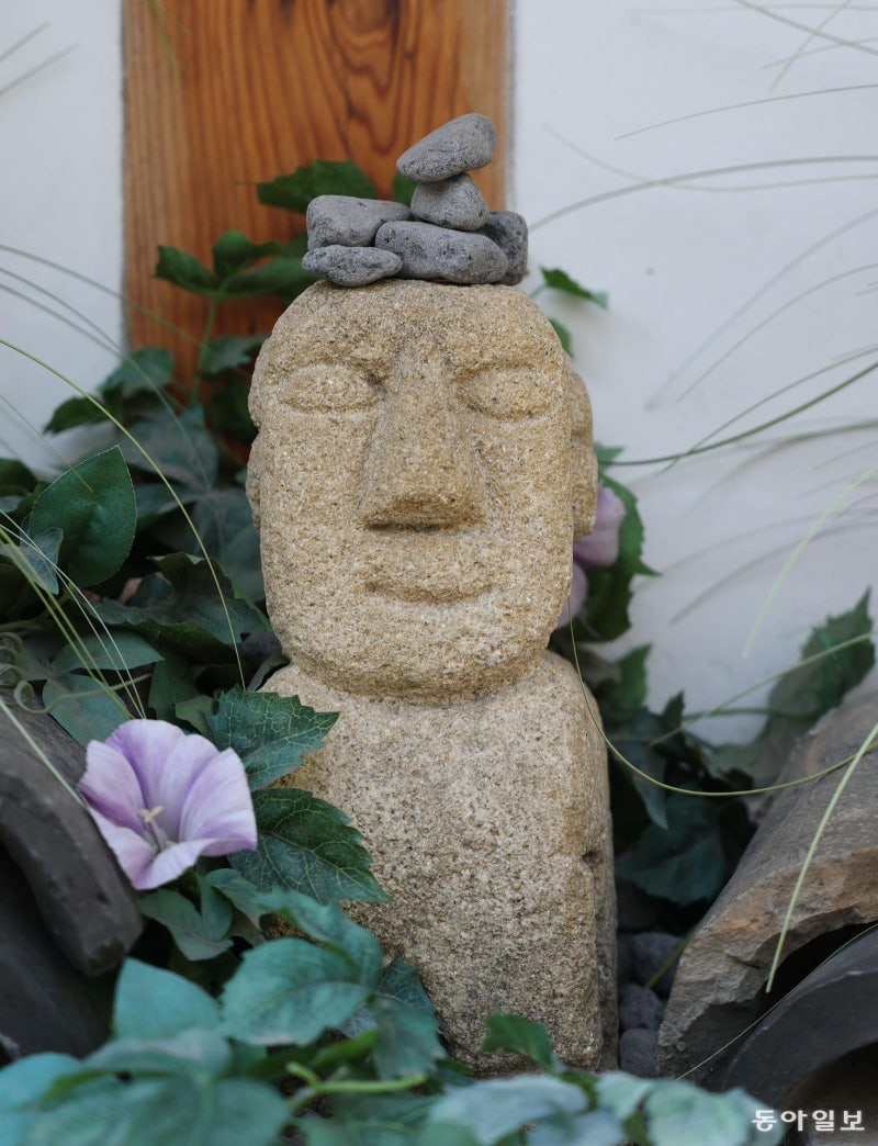 [고양이 눈]얹다