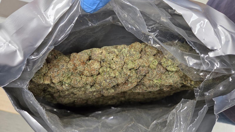 대마 636kg ‘역대 최대’ 밀수, 야쿠자 구속