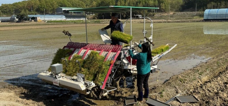 올해 첫 해담쌀 심기… “8월에 보자”