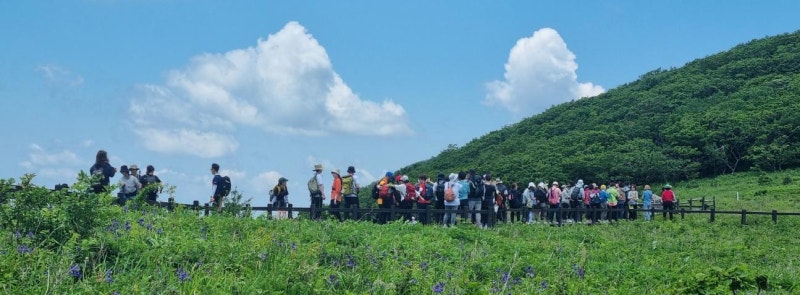 ‘식물 800여 종 둥지’ 곰배령 탐방 22일부터 재개