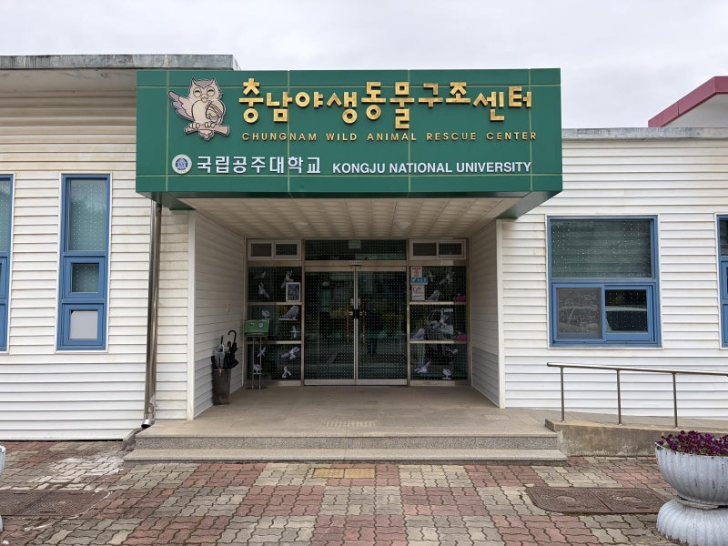 반려-야생-실험 등 동물전문가 육성