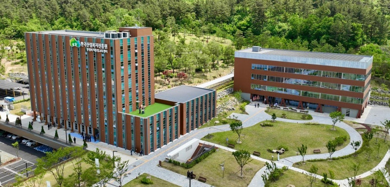 탄소 품는 목조건축… 7층 건물, 車 100대 1년 배출량 저장