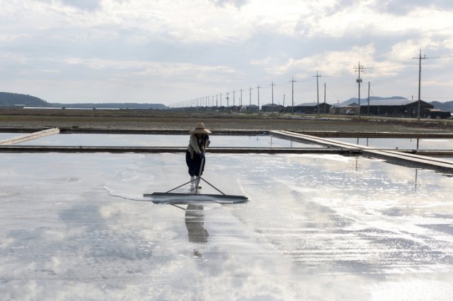 기사와 직접적 관련 없는 참고 사진. 게티이미지