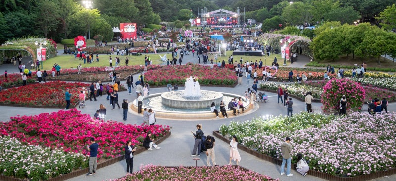 265종 300만 송이 ‘만개’ 20일부터 울산 장미축제