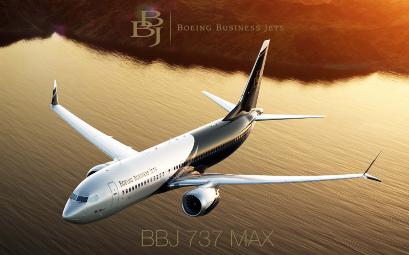 [단독]기아, 전용기 첫 도입…보잉 최신기종 ‘B737-8 BBJ’