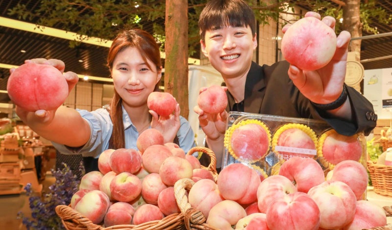 “한국판 납작복숭아 맛보세요”