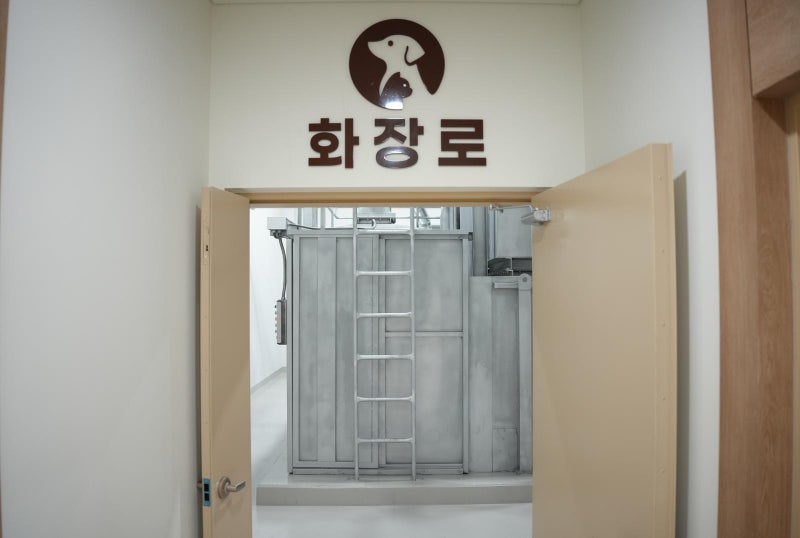 쓰레기봉투에 버리던 제주 반려동물, 장례식 치른다
