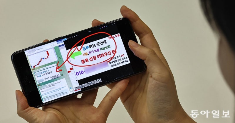 “당장 사라던 유튜버 추천종목 급락”… 알고리즘에 갇힌 개미들