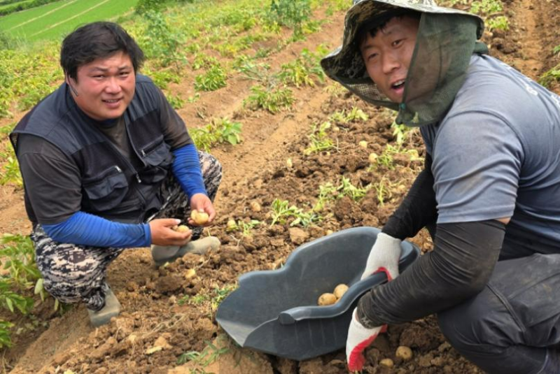 감자칩 덕에 청년농부 판로 걱정 날려… 상생이 K푸드 키운다