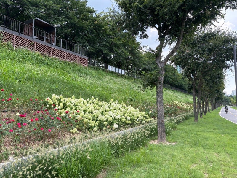 [구로구·종로구]집 밖엔 꽃 내음, 빈집엔 사람 내음