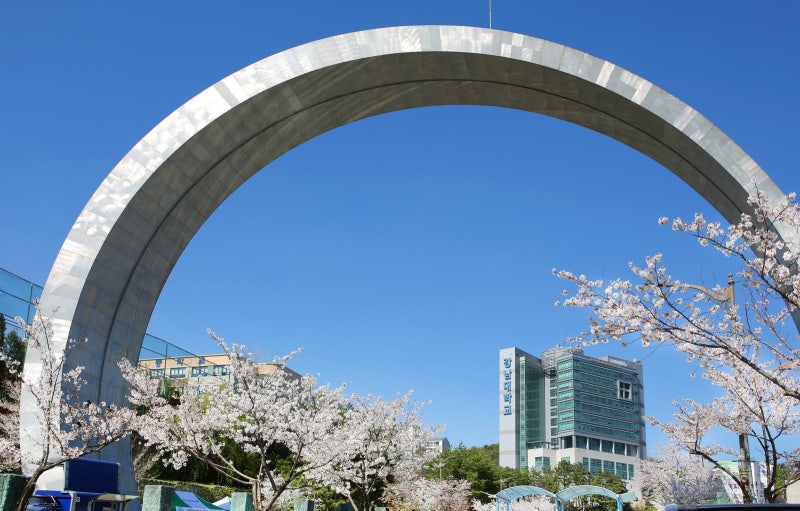 논술전형으로 가장 많은 309명 선발