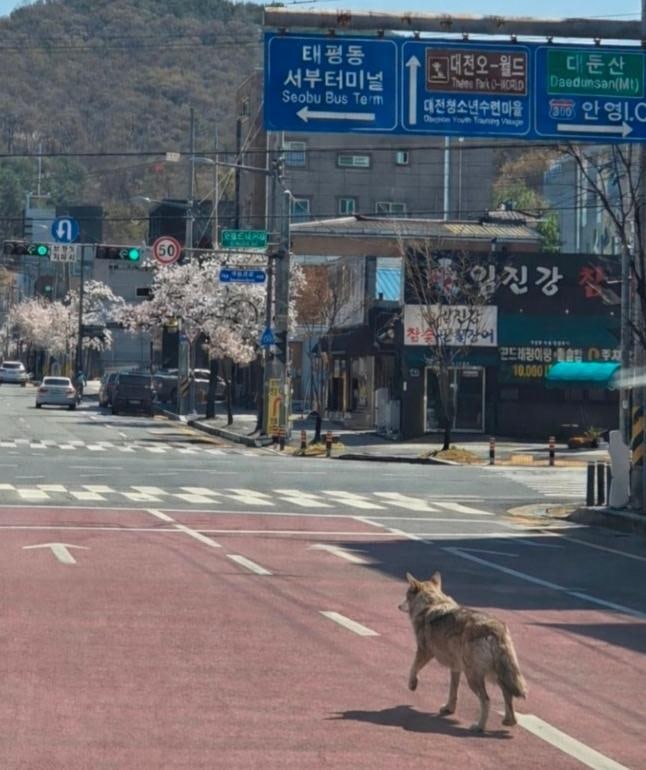 [신문과 놀자!/디지털 세상과 정보]AI로 ‘딸깍’해 만든 글-영상, ‘디지털 지문’으로 구분