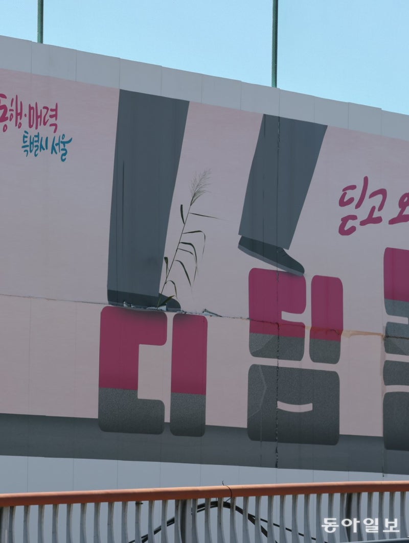 [고양이 눈]착시