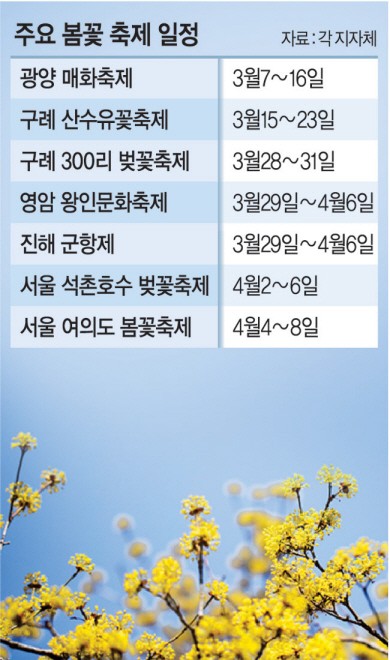 또 꽃없는 꽃축제… 열기구 체험·버스킹 ‘땜빵 행사’