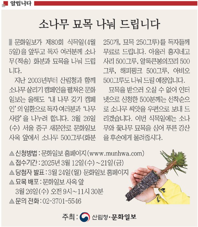 <알립니다> 소나무 묘목 나눠 드립니다
