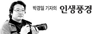여행과 선택[박경일 기자의 인생풍경]