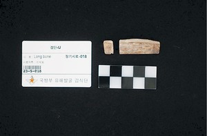학도병 출신 고 주영진 일병 75년만에 가족품으로 귀환
