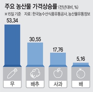 더 비싸진 사과… 작년보다 17% 올라 개당 3000원 육박