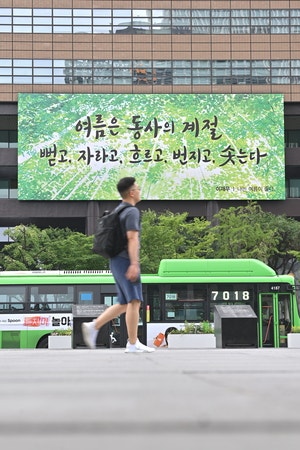여름을 여는 詩