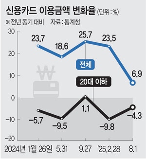 신용카드 사용액 20대만 줄었다