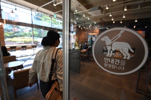 인간의 생명 지키는 ‘안내견을 환영합니다’[도시풍경]