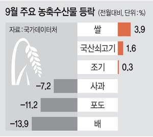 9월 소비자물가 2.1% 상승…  추석 성수품 가격은 안정세