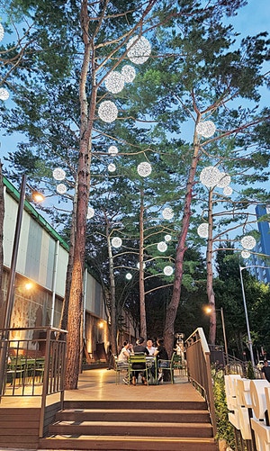 성북구 산책로·황톳길… 보름달 조명으로 빛난다