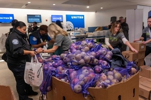 식비 지원 끊기고 항공편 지연… 미국 셧다운 후폭풍 일파만파