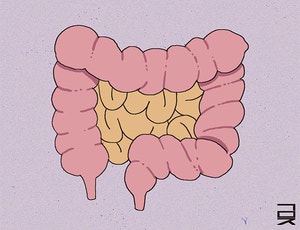 밸[한성우 교수의 맛의 말, 말의 맛]