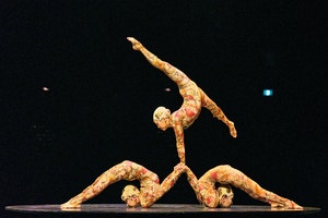 “신체의 한계를 시험하는 ‘컨토션’… 근육통 달고 살아도, 절대 못 끊죠”