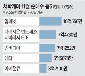 정부의 “고환율 요인” 지목 비웃듯… 서학개미 여전히 미국 주식 쓸어담아