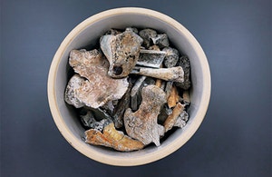 19세 산화 정용환 일병 75년만에 가족품에