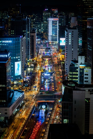 청계천 누비는 잉어킹 100마리… 등불 486점 ‘빛의 낭만’