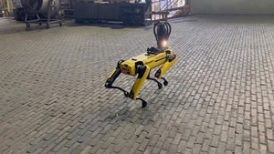 용광로 주변에 4족보행 로봇 투입… 고위험 작업장 ‘무재해’ 도전[안전 경영으로 100년기업 초석 다진다 ]