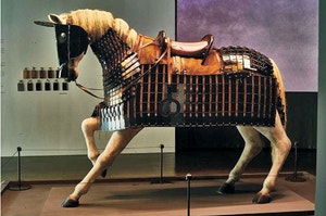 가야 말 갑옷·신라 말다래… 시대 건너온 말 유물 한자리