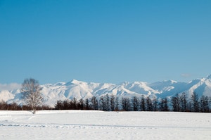 눈이 가장 많이 오는 곳? 극지방 아닌 중위도[김규회의 뒤집어보는 상식]