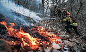주말 의성산불, 쓰레기 태우다가… 올해도 ‘人災’ 경고등