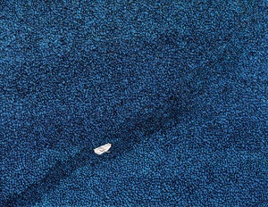 포용과 초월의 바다를 그리다[그림 에세이]