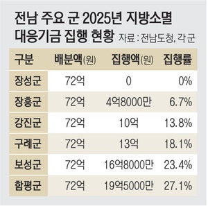 받고도 못 쓰는 지방소멸기금… 72억 중 집행액 ‘0원’