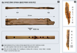 소금 닮은 ‘백제 피리’ 출토… 현존 最古 관악기 나왔다