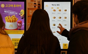 애호박 114%, 양배추 95%… 한달새 식료·생필품 절반이 가격 인상